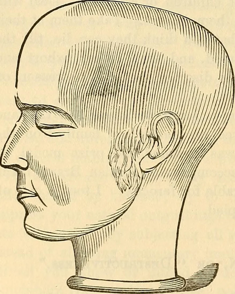 An illustration from Human science or phrenology. Its principles, proofs, faculties, organs, temperaments, combinations, conditions, teachings, philosophies, etc., etc. as applied to health. Its value, laws, functions, organs, means, preservation, restoration, etc. Mental philosophy, human and self improvement, civilization, home country, commerce rights, duties, ethics, etc. God, His existence, attributes, laws, worship, natural theology, etc. Immortality, its evidences, conditions, relations to time, rewards, punishments, sin, faith, prayer, etc. Intellect, memory, juvenile and self education, literature, mental discipline, the senses, sciences, arts, avocations, a perfect life, etc., etc, 1880, leaf 677