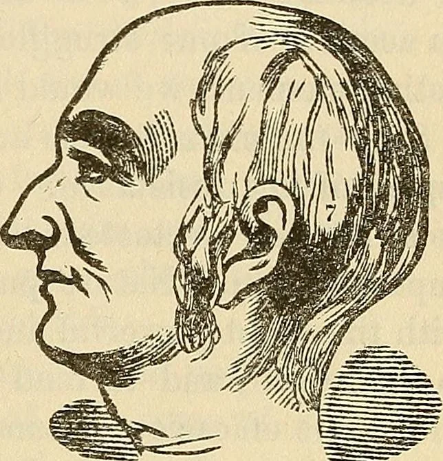 An illustration from Human science or phrenology. Its principles, proofs, faculties, organs, temperaments, combinations, conditions, teachings, philosophies, etc., etc. as applied to health. Its value, laws, functions, organs, means, preservation, restoration, etc. Mental philosophy, human and self improvement, civilization, home country, commerce rights, duties, ethics, etc. God, His existence, attributes, laws, worship, natural theology, etc. Immortality, its evidences, conditions, relations to time, rewards, punishments, sin, faith, prayer, etc. Intellect, memory, juvenile and self education, literature, mental discipline, the senses, sciences, arts, avocations, a perfect life, etc., etc, 1880, leaf 688
