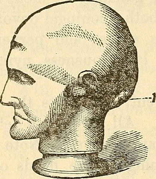 An illustration from Human science or phrenology. Its principles, proofs, faculties, organs, temperaments, combinations, conditions, teachings, philosophies, etc., etc. as applied to health. Its value, laws, functions, organs, means, preservation, restoration, etc. Mental philosophy, human and self improvement, civilization, home country, commerce rights, duties, ethics, etc. God, His existence, attributes, laws, worship, natural theology, etc. Immortality, its evidences, conditions, relations to time, rewards, punishments, sin, faith, prayer, etc. Intellect, memory, juvenile and self education, literature, mental discipline, the senses, sciences, arts, avocations, a perfect life, etc., etc, 1880, leaf 701