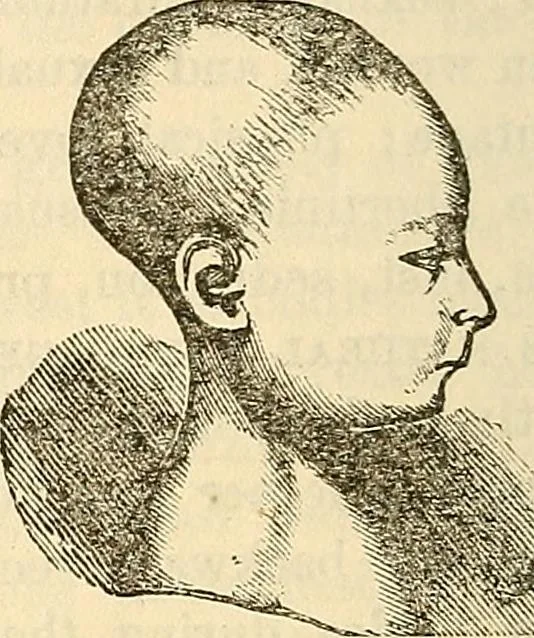 An illustration from Human science or phrenology. Its principles, proofs, faculties, organs, temperaments, combinations, conditions, teachings, philosophies, etc., etc. as applied to health. Its value, laws, functions, organs, means, preservation, restoration, etc. Mental philosophy, human and self improvement, civilization, home country, commerce rights, duties, ethics, etc. God, His existence, attributes, laws, worship, natural theology, etc. Immortality, its evidences, conditions, relations to time, rewards, punishments, sin, faith, prayer, etc. Intellect, memory, juvenile and self education, literature, mental discipline, the senses, sciences, arts, avocations, a perfect life, etc., etc, 1880, leaf 701
