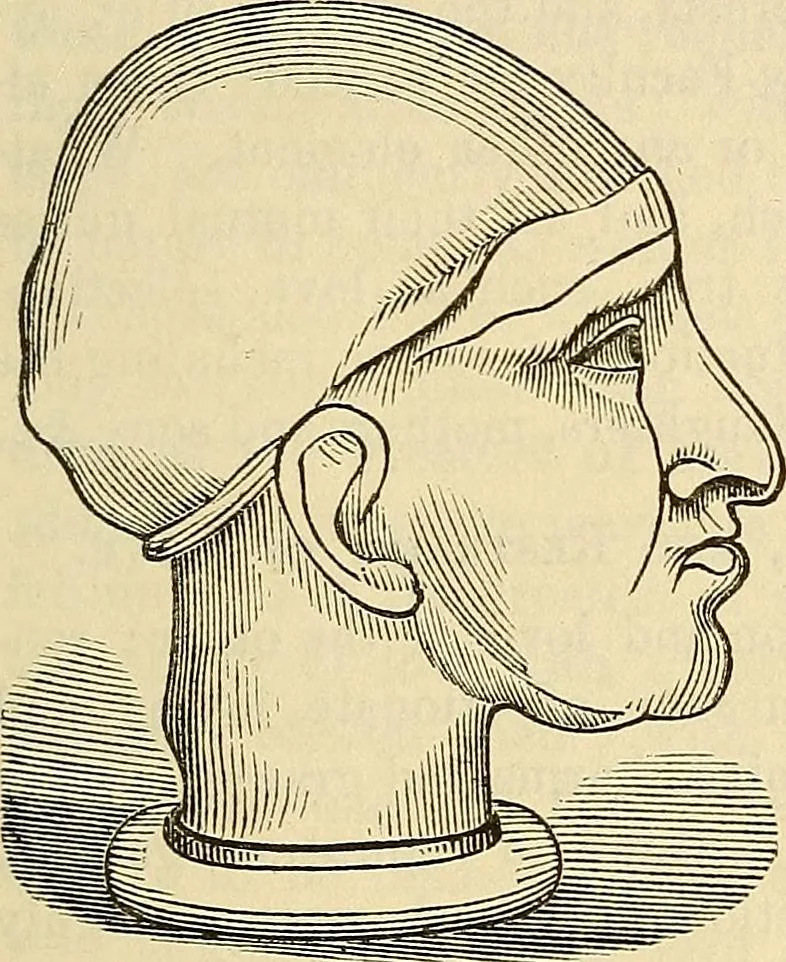 An illustration from Human science or phrenology. Its principles, proofs, faculties, organs, temperaments, combinations, conditions, teachings, philosophies, etc., etc. as applied to health. Its value, laws, functions, organs, means, preservation, restoration, etc. Mental philosophy, human and self improvement, civilization, home country, commerce rights, duties, ethics, etc. God, His existence, attributes, laws, worship, natural theology, etc. Immortality, its evidences, conditions, relations to time, rewards, punishments, sin, faith, prayer, etc. Intellect, memory, juvenile and self education, literature, mental discipline, the senses, sciences, arts, avocations, a perfect life, etc., etc, 1880, leaf 702