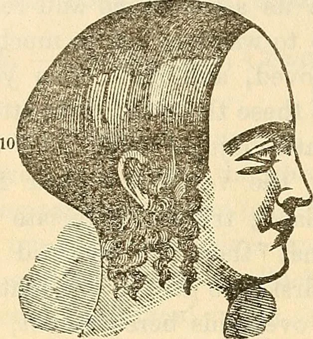 An illustration from Human science or phrenology. Its principles, proofs, faculties, organs, temperaments, combinations, conditions, teachings, philosophies, etc., etc. as applied to health. Its value, laws, functions, organs, means, preservation, restoration, etc. Mental philosophy, human and self improvement, civilization, home country, commerce rights, duties, ethics, etc. God, His existence, attributes, laws, worship, natural theology, etc. Immortality, its evidences, conditions, relations to time, rewards, punishments, sin, faith, prayer, etc. Intellect, memory, juvenile and self education, literature, mental discipline, the senses, sciences, arts, avocations, a perfect life, etc., etc, 1880, leaf 713