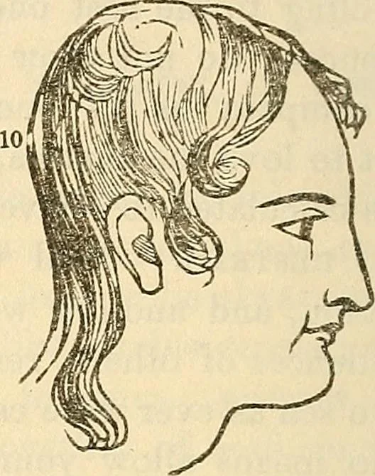 An illustration from Human science or phrenology. Its principles, proofs, faculties, organs, temperaments, combinations, conditions, teachings, philosophies, etc., etc. as applied to health. Its value, laws, functions, organs, means, preservation, restoration, etc. Mental philosophy, human and self improvement, civilization, home country, commerce rights, duties, ethics, etc. God, His existence, attributes, laws, worship, natural theology, etc. Immortality, its evidences, conditions, relations to time, rewards, punishments, sin, faith, prayer, etc. Intellect, memory, juvenile and self education, literature, mental discipline, the senses, sciences, arts, avocations, a perfect life, etc., etc, 1880, leaf 713
