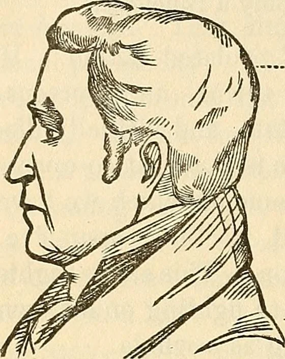 An illustration from Human science or phrenology. Its principles, proofs, faculties, organs, temperaments, combinations, conditions, teachings, philosophies, etc., etc. as applied to health. Its value, laws, functions, organs, means, preservation, restoration, etc. Mental philosophy, human and self improvement, civilization, home country, commerce rights, duties, ethics, etc. God, His existence, attributes, laws, worship, natural theology, etc. Immortality, its evidences, conditions, relations to time, rewards, punishments, sin, faith, prayer, etc. Intellect, memory, juvenile and self education, literature, mental discipline, the senses, sciences, arts, avocations, a perfect life, etc., etc, 1880, leaf 737