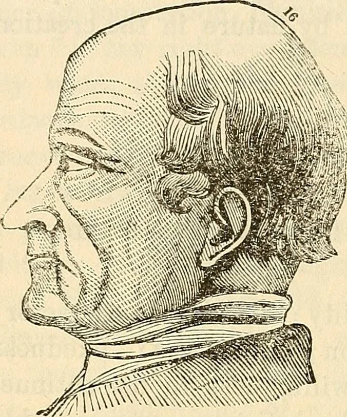 An illustration from Human science or phrenology. Its principles, proofs, faculties, organs, temperaments, combinations, conditions, teachings, philosophies, etc., etc. as applied to health. Its value, laws, functions, organs, means, preservation, restoration, etc. Mental philosophy, human and self improvement, civilization, home country, commerce rights, duties, ethics, etc. God, His existence, attributes, laws, worship, natural theology, etc. Immortality, its evidences, conditions, relations to time, rewards, punishments, sin, faith, prayer, etc. Intellect, memory, juvenile and self education, literature, mental discipline, the senses, sciences, arts, avocations, a perfect life, etc., etc, 1880, leaf 783