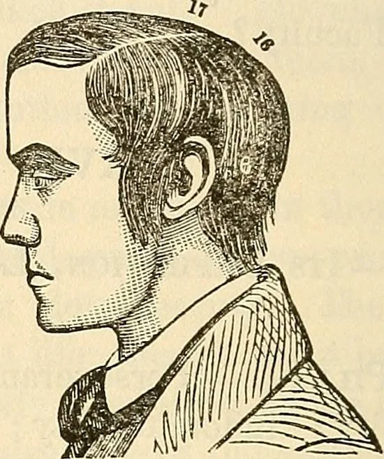 An illustration from Human science or phrenology. Its principles, proofs, faculties, organs, temperaments, combinations, conditions, teachings, philosophies, etc., etc. as applied to health. Its value, laws, functions, organs, means, preservation, restoration, etc. Mental philosophy, human and self improvement, civilization, home country, commerce rights, duties, ethics, etc. God, His existence, attributes, laws, worship, natural theology, etc. Immortality, its evidences, conditions, relations to time, rewards, punishments, sin, faith, prayer, etc. Intellect, memory, juvenile and self education, literature, mental discipline, the senses, sciences, arts, avocations, a perfect life, etc., etc, 1880, leaf 783