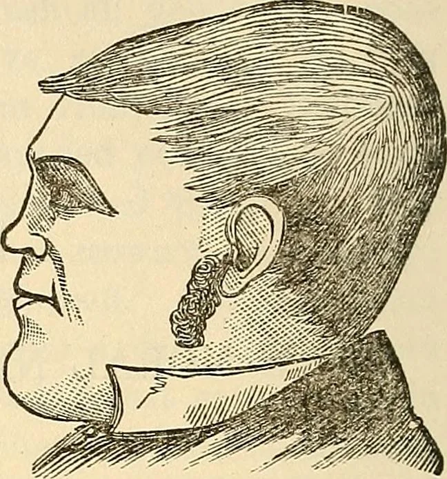 An illustration from Human science or phrenology. Its principles, proofs, faculties, organs, temperaments, combinations, conditions, teachings, philosophies, etc., etc. as applied to health. Its value, laws, functions, organs, means, preservation, restoration, etc. Mental philosophy, human and self improvement, civilization, home country, commerce rights, duties, ethics, etc. God, His existence, attributes, laws, worship, natural theology, etc. Immortality, its evidences, conditions, relations to time, rewards, punishments, sin, faith, prayer, etc. Intellect, memory, juvenile and self education, literature, mental discipline, the senses, sciences, arts, avocations, a perfect life, etc., etc, 1880, leaf 789