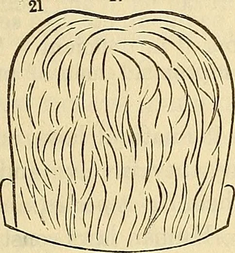 An illustration from Human science or phrenology. Its principles, proofs, faculties, organs, temperaments, combinations, conditions, teachings, philosophies, etc., etc. as applied to health. Its value, laws, functions, organs, means, preservation, restoration, etc. Mental philosophy, human and self improvement, civilization, home country, commerce rights, duties, ethics, etc. God, His existence, attributes, laws, worship, natural theology, etc. Immortality, its evidences, conditions, relations to time, rewards, punishments, sin, faith, prayer, etc. Intellect, memory, juvenile and self education, literature, mental discipline, the senses, sciences, arts, avocations, a perfect life, etc., etc, 1880, leaf 922