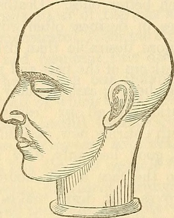 An illustration from Human science or phrenology. Its principles, proofs, faculties, organs, temperaments, combinations, conditions, teachings, philosophies, etc., etc. as applied to health. Its value, laws, functions, organs, means, preservation, restoration, etc. Mental philosophy, human and self improvement, civilization, home country, commerce rights, duties, ethics, etc. God, His existence, attributes, laws, worship, natural theology, etc. Immortality, its evidences, conditions, relations to time, rewards, punishments, sin, faith, prayer, etc. Intellect, memory, juvenile and self education, literature, mental discipline, the senses, sciences, arts, avocations, a perfect life, etc., etc, 1880, leaf 951