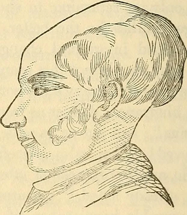 An illustration from Human science or phrenology. Its principles, proofs, faculties, organs, temperaments, combinations, conditions, teachings, philosophies, etc., etc. as applied to health. Its value, laws, functions, organs, means, preservation, restoration, etc. Mental philosophy, human and self improvement, civilization, home country, commerce rights, duties, ethics, etc. God, His existence, attributes, laws, worship, natural theology, etc. Immortality, its evidences, conditions, relations to time, rewards, punishments, sin, faith, prayer, etc. Intellect, memory, juvenile and self education, literature, mental discipline, the senses, sciences, arts, avocations, a perfect life, etc., etc, 1880, leaf 951