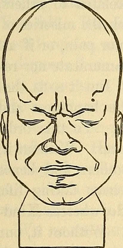 An illustration from Human science or phrenology. Its principles, proofs, faculties, organs, temperaments, combinations, conditions, teachings, philosophies, etc., etc. as applied to health. Its value, laws, functions, organs, means, preservation, restoration, etc. Mental philosophy, human and self improvement, civilization, home country, commerce rights, duties, ethics, etc. God, His existence, attributes, laws, worship, natural theology, etc. Immortality, its evidences, conditions, relations to time, rewards, punishments, sin, faith, prayer, etc. Intellect, memory, juvenile and self education, literature, mental discipline, the senses, sciences, arts, avocations, a perfect life, etc., etc, 1880, leaf 952