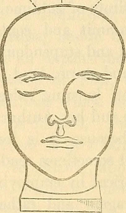 An illustration from Human science or phrenology. Its principles, proofs, faculties, organs, temperaments, combinations, conditions, teachings, philosophies, etc., etc. as applied to health. Its value, laws, functions, organs, means, preservation, restoration, etc. Mental philosophy, human and self improvement, civilization, home country, commerce rights, duties, ethics, etc. God, His existence, attributes, laws, worship, natural theology, etc. Immortality, its evidences, conditions, relations to time, rewards, punishments, sin, faith, prayer, etc. Intellect, memory, juvenile and self education, literature, mental discipline, the senses, sciences, arts, avocations, a perfect life, etc., etc, 1880, leaf 981