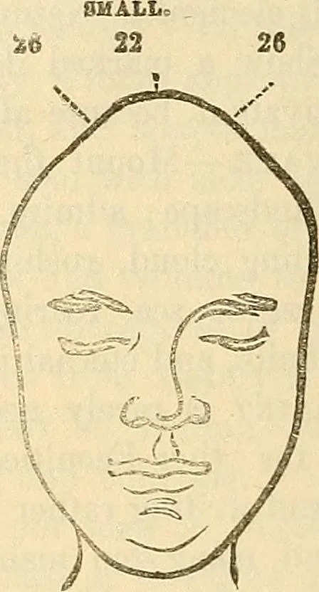 An illustration from Human science or phrenology. Its principles, proofs, faculties, organs, temperaments, combinations, conditions, teachings, philosophies, etc., etc. as applied to health. Its value, laws, functions, organs, means, preservation, restoration, etc. Mental philosophy, human and self improvement, civilization, home country, commerce rights, duties, ethics, etc. God, His existence, attributes, laws, worship, natural theology, etc. Immortality, its evidences, conditions, relations to time, rewards, punishments, sin, faith, prayer, etc. Intellect, memory, juvenile and self education, literature, mental discipline, the senses, sciences, arts, avocations, a perfect life, etc., etc, 1880, leaf 981