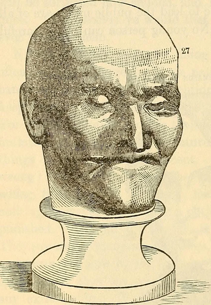 An illustration from Human science or phrenology. Its principles, proofs, faculties, organs, temperaments, combinations, conditions, teachings, philosophies, etc., etc. as applied to health. Its value, laws, functions, organs, means, preservation, restoration, etc. Mental philosophy, human and self improvement, civilization, home country, commerce rights, duties, ethics, etc. God, His existence, attributes, laws, worship, natural theology, etc. Immortality, its evidences, conditions, relations to time, rewards, punishments, sin, faith, prayer, etc. Intellect, memory, juvenile and self education, literature, mental discipline, the senses, sciences, arts, avocations, a perfect life, etc., etc, 1880, leaf 989
