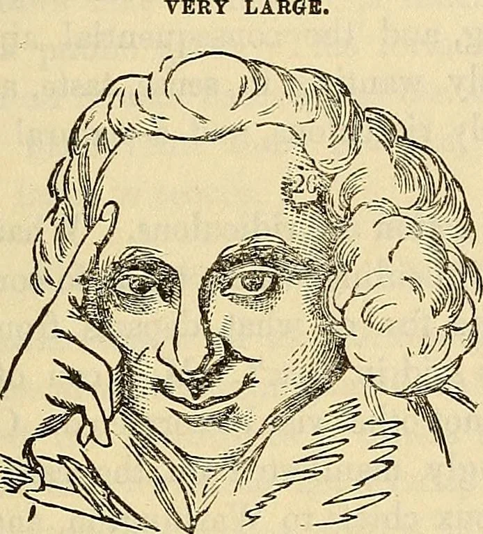 An illustration from Human science or phrenology. Its principles, proofs, faculties, organs, temperaments, combinations, conditions, teachings, philosophies, etc., etc. as applied to health. Its value, laws, functions, organs, means, preservation, restoration, etc. Mental philosophy, human and self improvement, civilization, home country, commerce rights, duties, ethics, etc. God, His existence, attributes, laws, worship, natural theology, etc. Immortality, its evidences, conditions, relations to time, rewards, punishments, sin, faith, prayer, etc. Intellect, memory, juvenile and self education, literature, mental discipline, the senses, sciences, arts, avocations, a perfect life, etc., etc, 1880, leaf 990