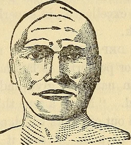 An illustration from Human science or phrenology. Its principles, proofs, faculties, organs, temperaments, combinations, conditions, teachings, philosophies, etc., etc. as applied to health. Its value, laws, functions, organs, means, preservation, restoration, etc. Mental philosophy, human and self improvement, civilization, home country, commerce rights, duties, ethics, etc. God, His existence, attributes, laws, worship, natural theology, etc. Immortality, its evidences, conditions, relations to time, rewards, punishments, sin, faith, prayer, etc. Intellect, memory, juvenile and self education, literature, mental discipline, the senses, sciences, arts, avocations, a perfect life, etc., etc, 1880, leaf 990
