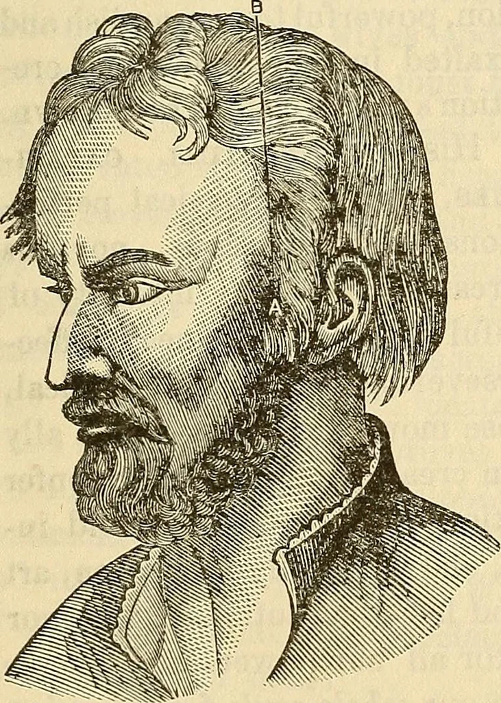 An illustration from Human science or phrenology. Its principles, proofs, faculties, organs, temperaments, combinations, conditions, teachings, philosophies, etc., etc. as applied to health. Its value, laws, functions, organs, means, preservation, restoration, etc. Mental philosophy, human and self improvement, civilization, home country, commerce rights, duties, ethics, etc. God, His existence, attributes, laws, worship, natural theology, etc. Immortality, its evidences, conditions, relations to time, rewards, punishments, sin, faith, prayer, etc. Intellect, memory, juvenile and self education, literature, mental discipline, the senses, sciences, arts, avocations, a perfect life, etc., etc, 1880, leaf 996