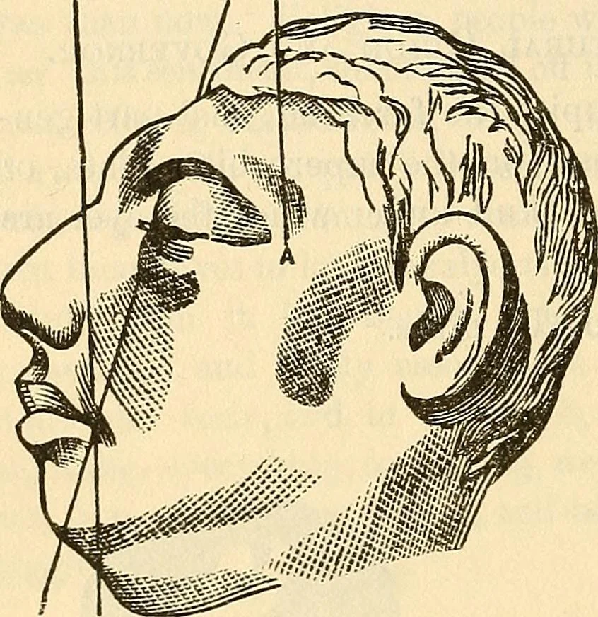 An illustration from Human science or phrenology. Its principles, proofs, faculties, organs, temperaments, combinations, conditions, teachings, philosophies, etc., etc. as applied to health. Its value, laws, functions, organs, means, preservation, restoration, etc. Mental philosophy, human and self improvement, civilization, home country, commerce rights, duties, ethics, etc. God, His existence, attributes, laws, worship, natural theology, etc. Immortality, its evidences, conditions, relations to time, rewards, punishments, sin, faith, prayer, etc. Intellect, memory, juvenile and self education, literature, mental discipline, the senses, sciences, arts, avocations, a perfect life, etc., etc, 1880, leaf 997