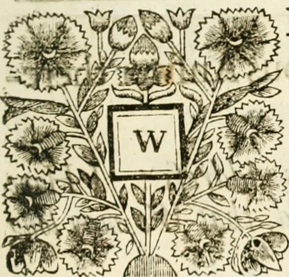 An illustration from The humble address of the right honourable the Lords spiritual & temporal in Parliament assembled, presented to His Majesty, the one and thirtieth of December, 1694. And His Majesties gracious answer thereunto, 1694, leaf 10