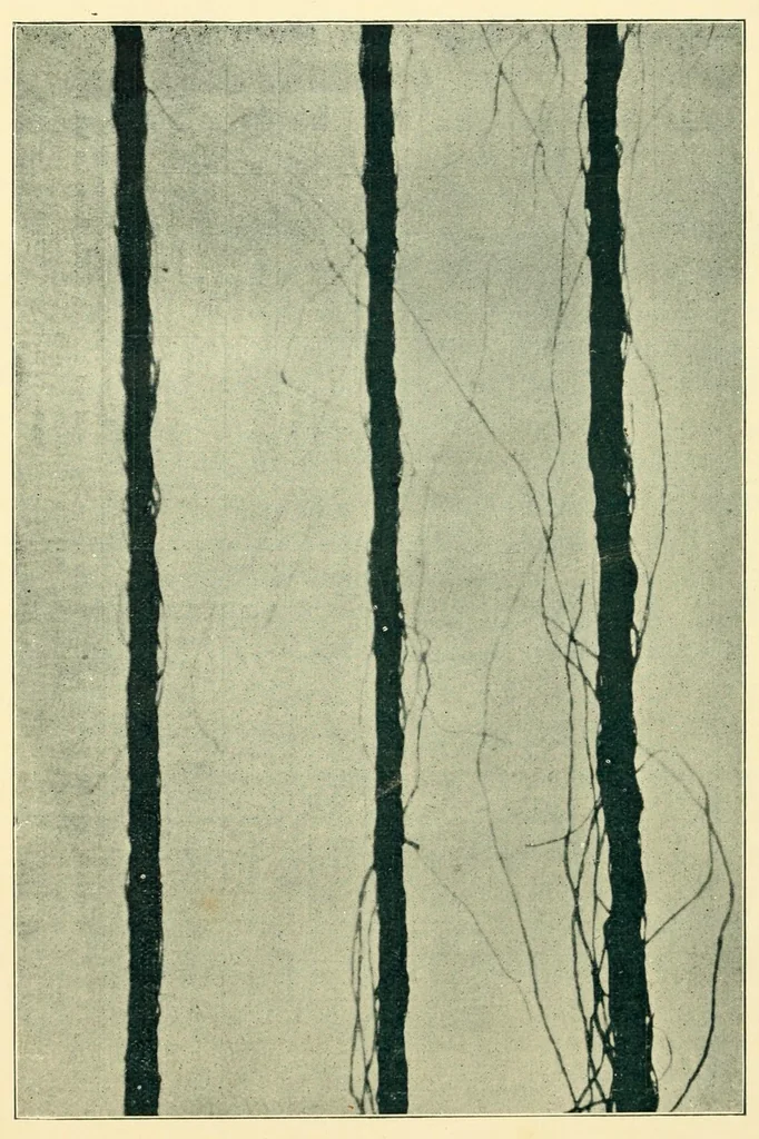An illustration from Humidity in cotton spinning : a paper, 1894, leaf 38