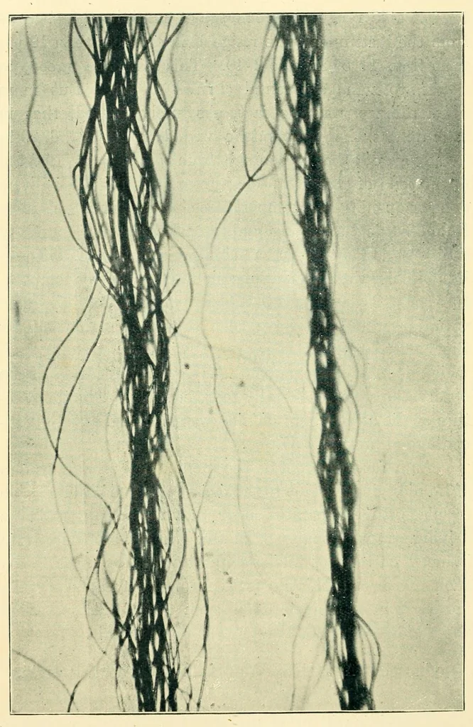 An illustration from Humidity in cotton spinning : a paper, 1894, leaf 46