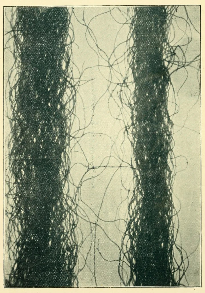An illustration from Humidity in cotton spinning : a paper, 1894, leaf 48