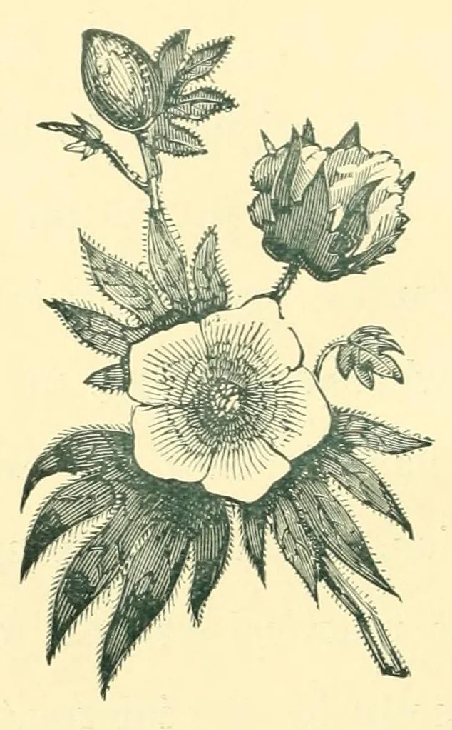 An illustration from Humidity in cotton spinning : a paper, 1894, leaf 8