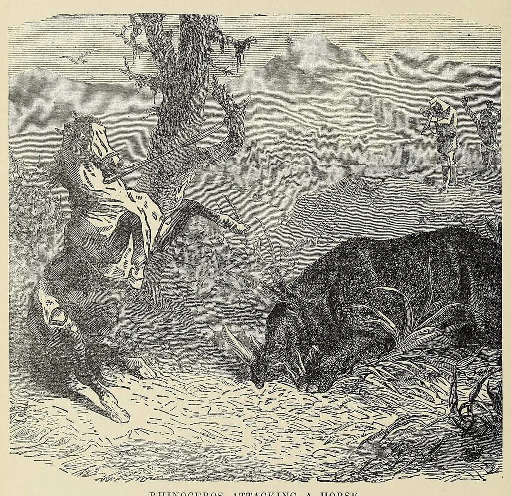 An illustration from Hunting big game in the wilds of Africa : containing thrilling adventures of the famous Roosevelt expedition ... the whole comprising a vast treasury of all that is marvelous and wonderful in darkest Africa, 1909, leaf 198