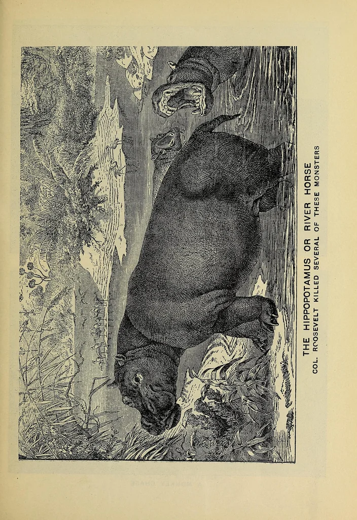 An illustration from Hunting big game in the wilds of Africa : containing thrilling adventures of the famous Roosevelt expedition ... the whole comprising a vast treasury of all that is marvelous and wonderful in darkest Africa, 1909, leaf 25