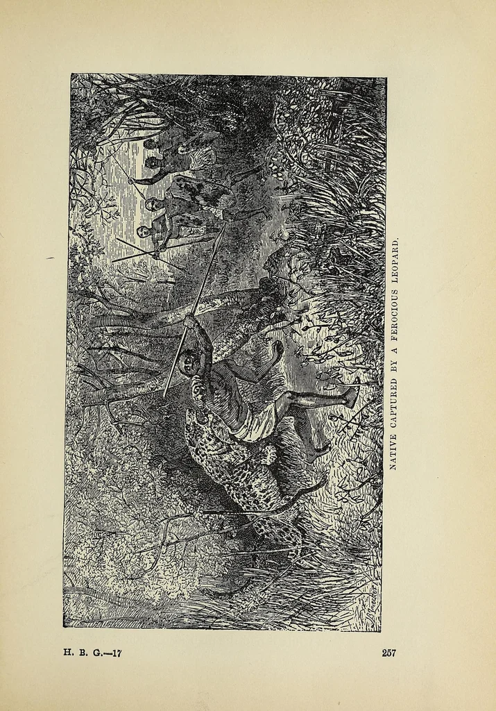 An illustration from Hunting big game in the wilds of Africa : containing thrilling adventures of the famous Roosevelt expedition ... the whole comprising a vast treasury of all that is marvelous and wonderful in darkest Africa, 1909, leaf 293