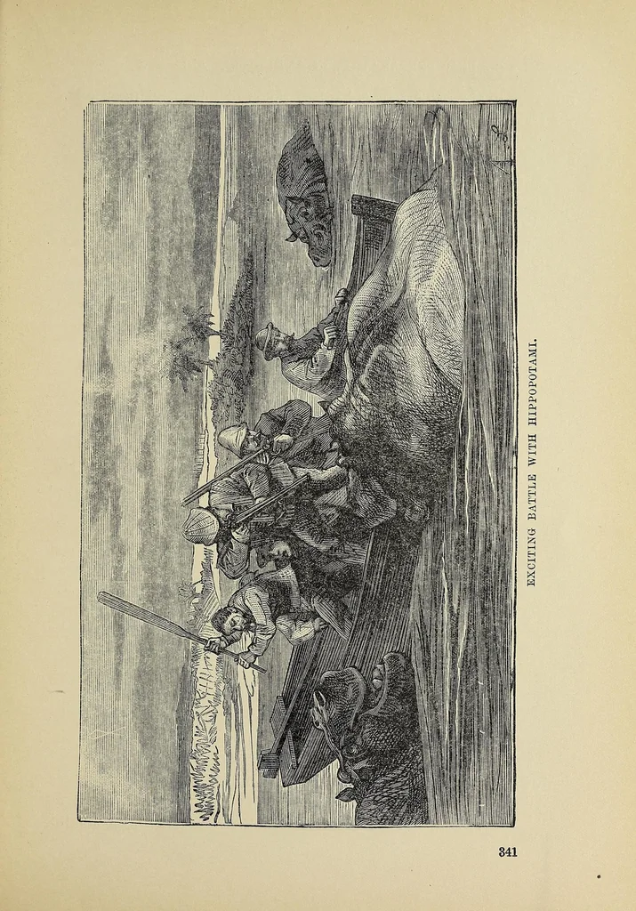 An illustration from Hunting big game in the wilds of Africa : containing thrilling adventures of the famous Roosevelt expedition ... the whole comprising a vast treasury of all that is marvelous and wonderful in darkest Africa, 1909, leaf 377