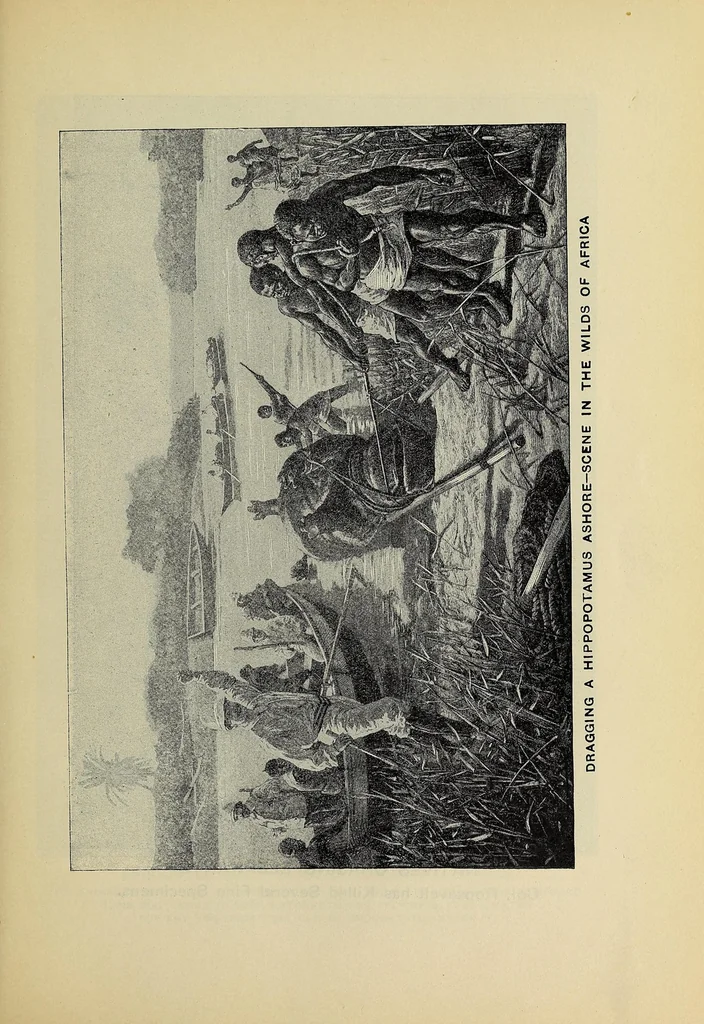 An illustration from Hunting big game in the wilds of Africa : containing thrilling adventures of the famous Roosevelt expedition ... the whole comprising a vast treasury of all that is marvelous and wonderful in darkest Africa, 1909, leaf 57