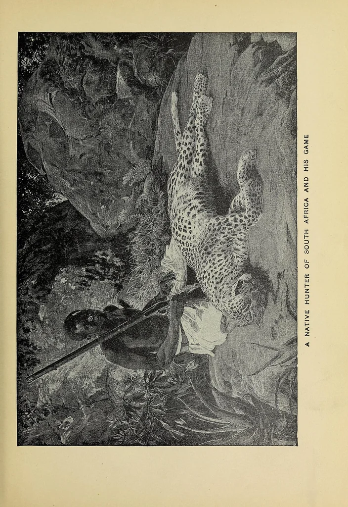An illustration from Hunting big game in the wilds of Africa : containing thrilling adventures of the famous Roosevelt expedition ... the whole comprising a vast treasury of all that is marvelous and wonderful in darkest Africa, 1909, leaf 65