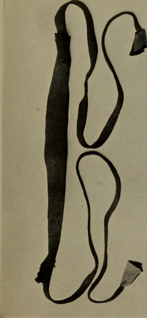 An illustration from Hunting charms of the Montagnais and the Mistassini, 1921, leaf 16