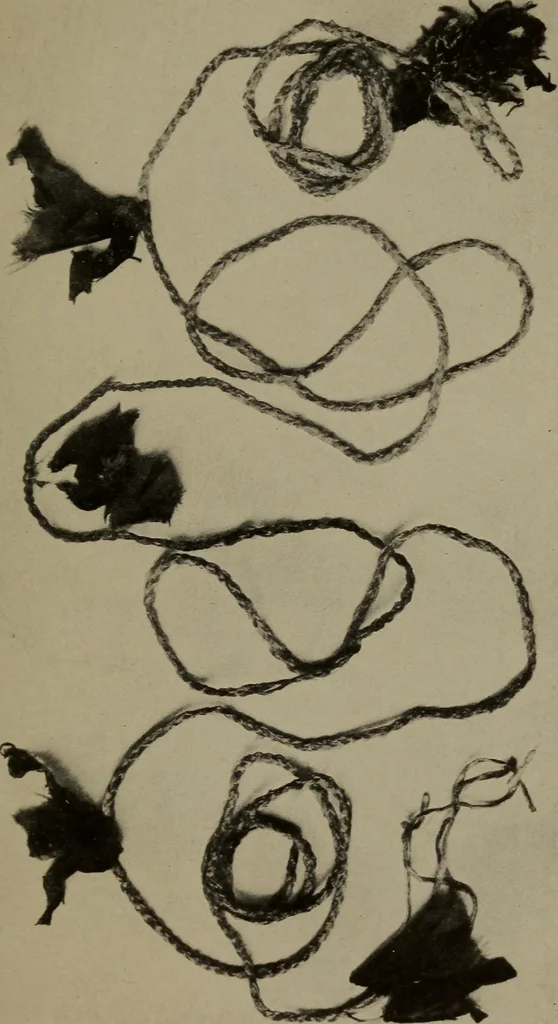 An illustration from Hunting charms of the Montagnais and the Mistassini, 1921, leaf 24
