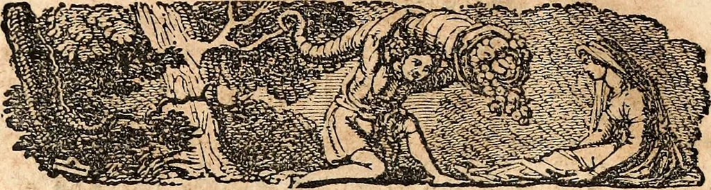 An illustration from Hunt's North American almanac for the year of our Lord and Saviour Jesus Christ 1847, 1846, leaf 19