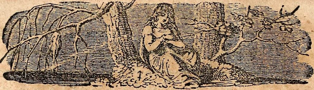 An illustration from Hunt's North American almanac for the year of our Lord and Saviour Jesus Christ 1847, 1846, leaf 23