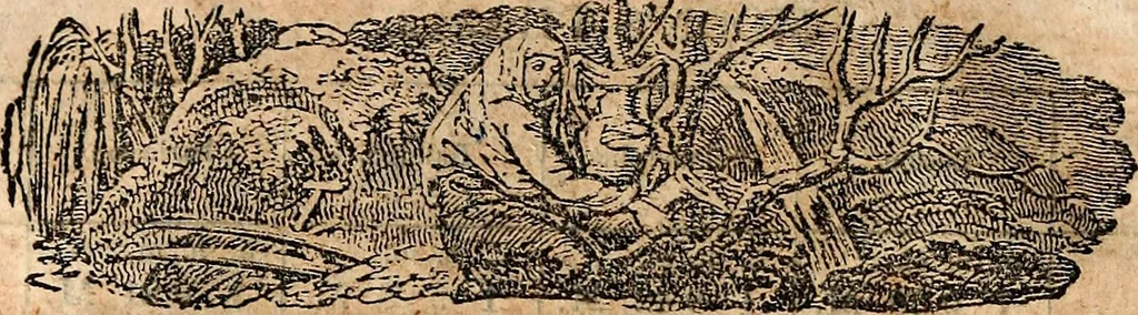 An illustration from Hunt's North American almanac for the year of our Lord and Saviour Jesus Christ 1847, 1846, leaf 5
