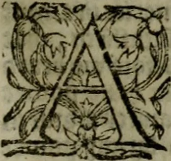 An illustration from A hvndred sermons vppon the Apocalipse of Iesu Christ, reueiled by the angell of the Lord, but seeene or receiuec and written by the holy apostle and euagelist S. Iohn, 1573, leaf 308
