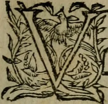 An illustration from A hvndred sermons vppon the Apocalipse of Iesu Christ, reueiled by the angell of the Lord, but seeene or receiuec and written by the holy apostle and euagelist S. Iohn, 1573, leaf 74