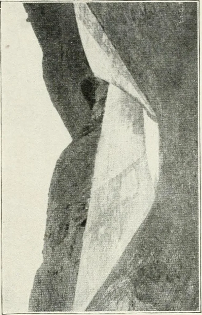 An illustration from Hydraulic engineering; a practical treatise on the principles of water pressure and flow and their application to the development of water power, including the calculation, design and construction of water wheels, turbines, and other details of hydraulic power plants, 1909, leaf 280