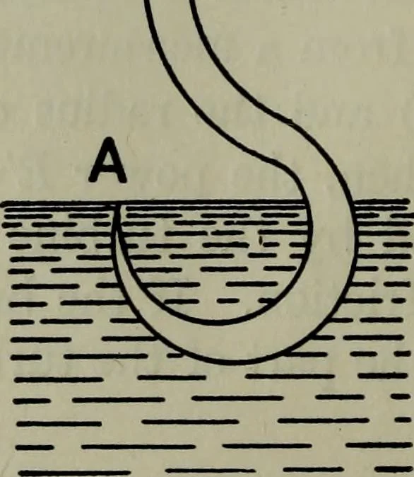An illustration from Hydraulic motors, with related subjects, including centrifugal pumps, pipes, and open channels, designed as a text-book for engineering schools, 1905, leaf 189