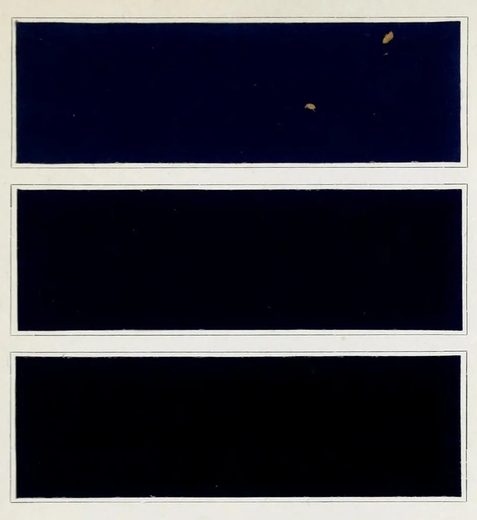 An illustration from Hydron blue G and R : patented : paste 20% and powder, 1911, leaf 39