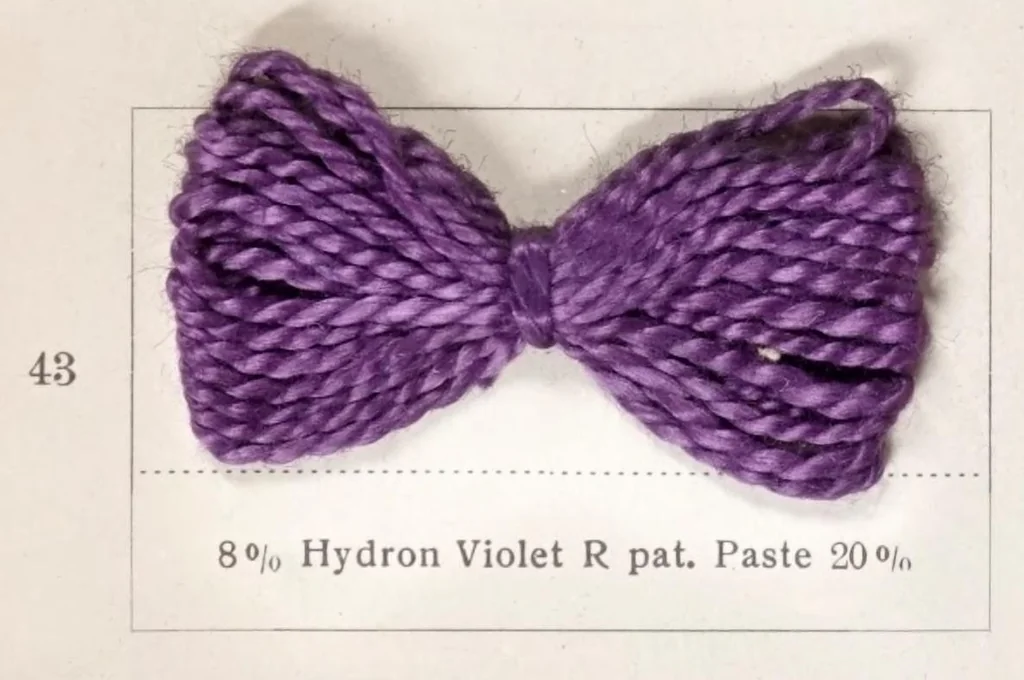 An illustration from Hydron blue pat. and hydron violet pat. printed on cotton, 1900, leaf 24