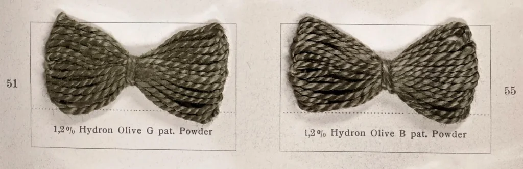 An illustration from Hydron blue pat. and hydron violet pat. printed on cotton, 1900, leaf 25