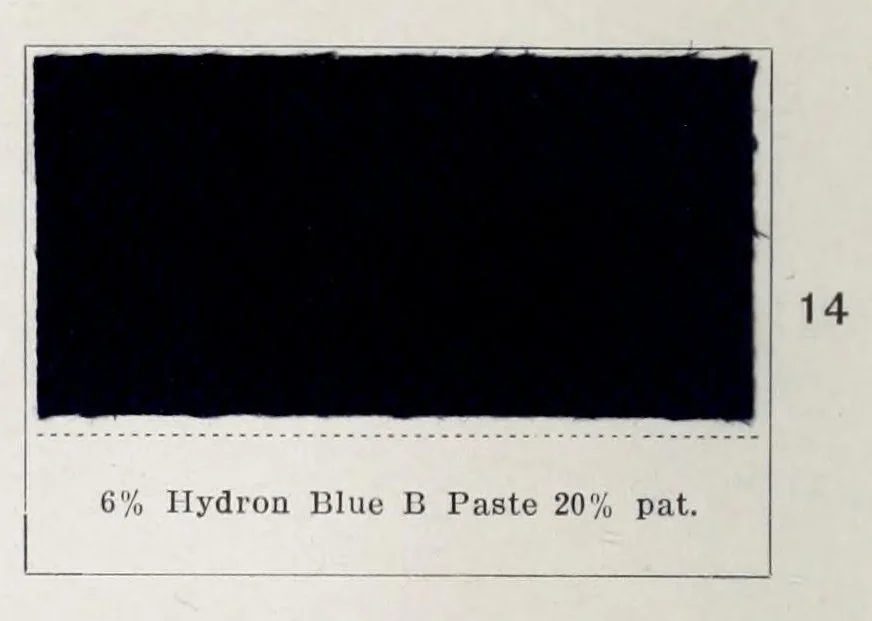 An illustration from Hydron colours on cotton piece-goods, 1900, leaf 24