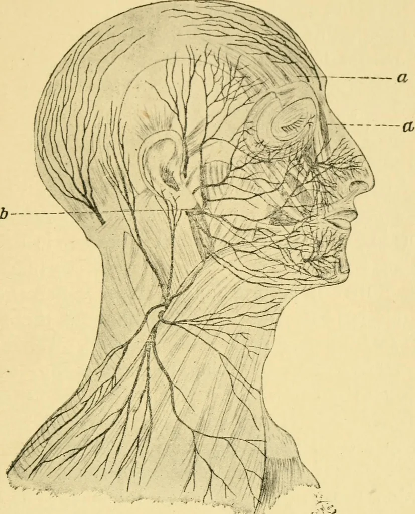 An illustration from The hygiene of mind, 1907, leaf 114