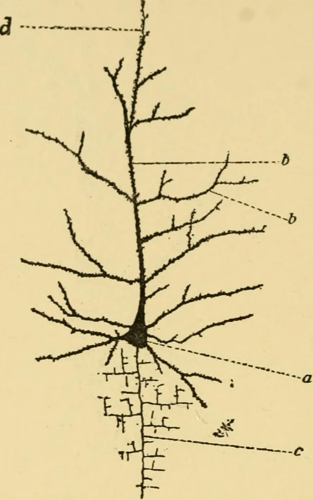 An illustration from The hygiene of mind, 1907, leaf 47