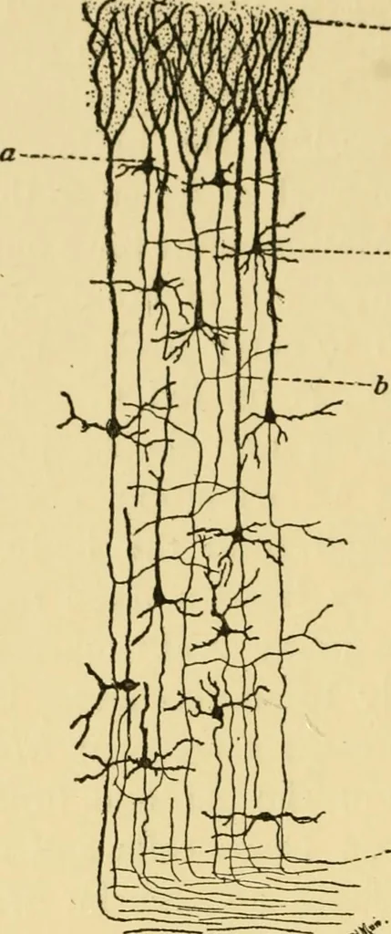 An illustration from The hygiene of mind, 1907, leaf 49