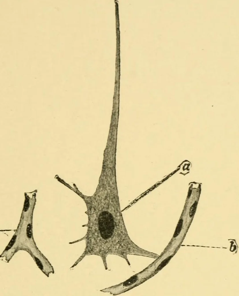 An illustration from The hygiene of mind, 1907, leaf 52